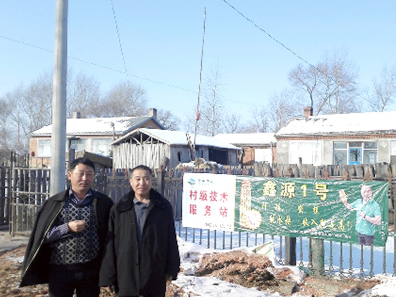 技術(shù)服務(wù)